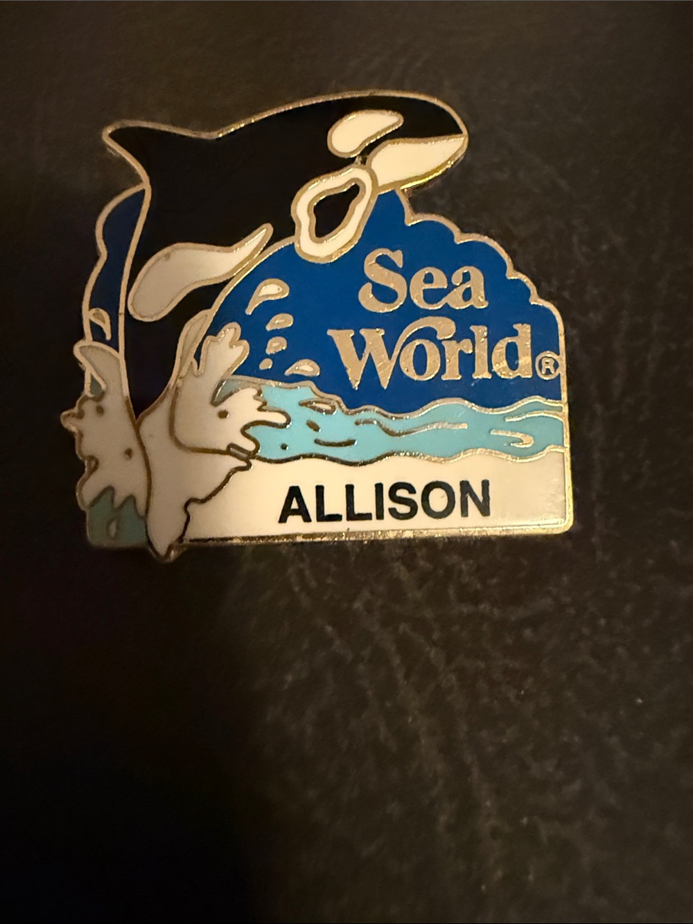 sea world. pin